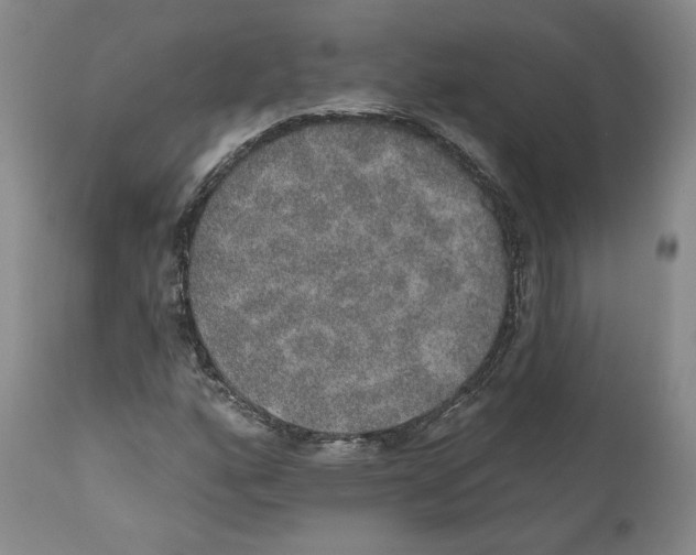 X0000110761160200907131203