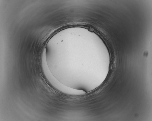 X0000110761161200907131203