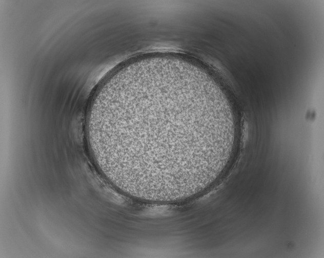 X0000110761162200907131203