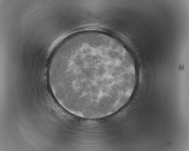 X0000110761164200907131203