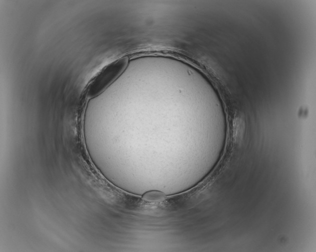 X0000110761165200907131203