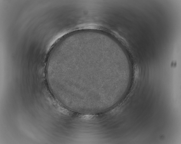 X0000110761166200907131203