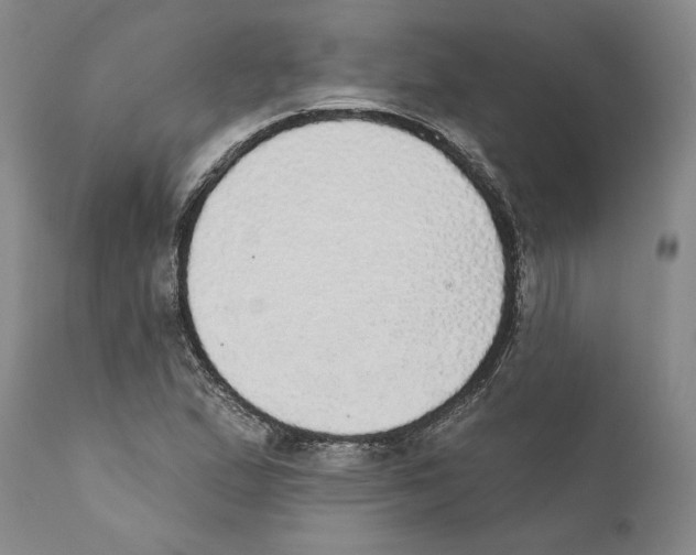 X0000110761167200907131203