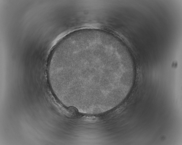 X0000110761168200907131203