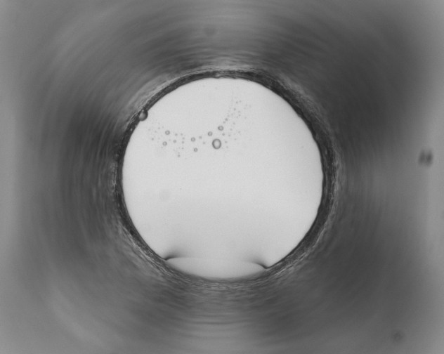 X0000110761169200907131203