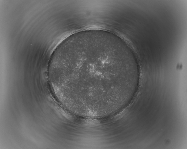 X0000110761170200907131203