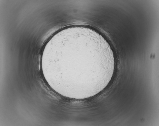 X0000110761171200907131203