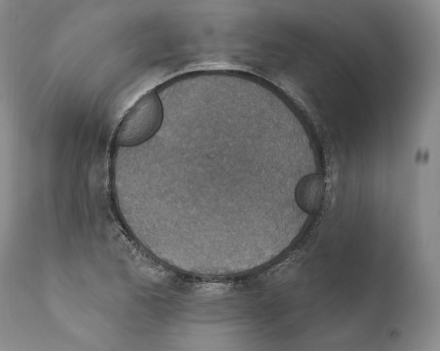 X0000110761173200907131203