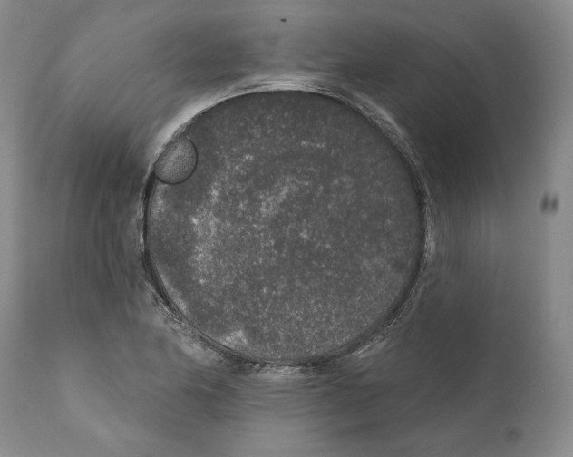 X0000110761174200907131203
