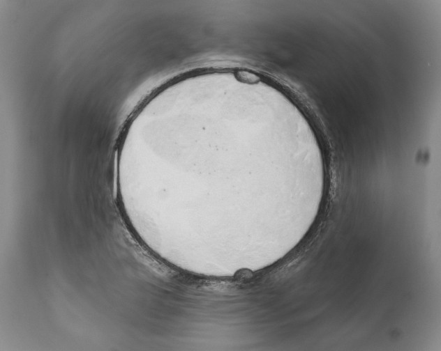 X0000110761175200907131202