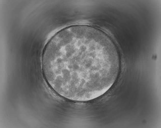 X0000110761176200907131202