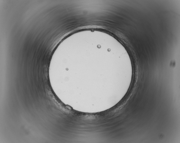 X0000110761177200907131202