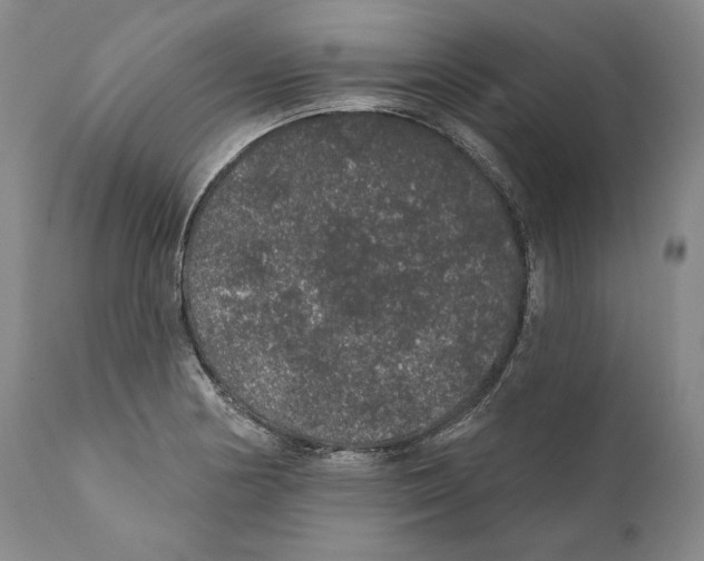 X0000110761178200907131202