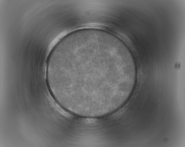 X0000110761180200907131202