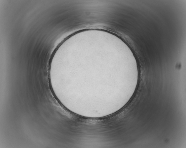 X0000110761184200907131202
