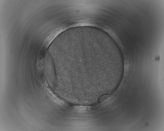 X0000110761185200907131202