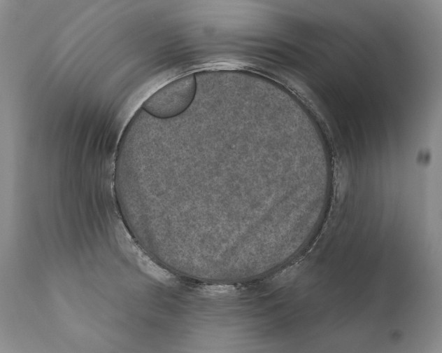 X0000110761186200907131202