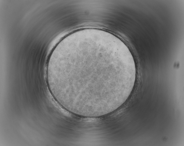 X0000110761188200907131202