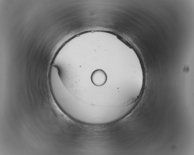 X0000110761189200907131202