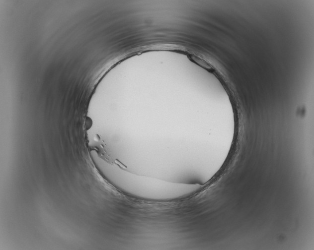 X0000110761193200907131202