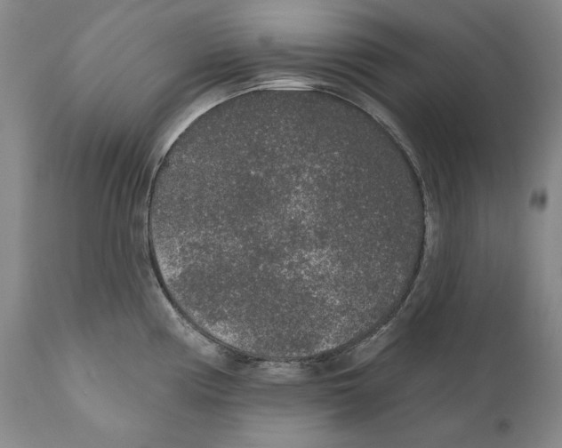 X0000110761194200907131202