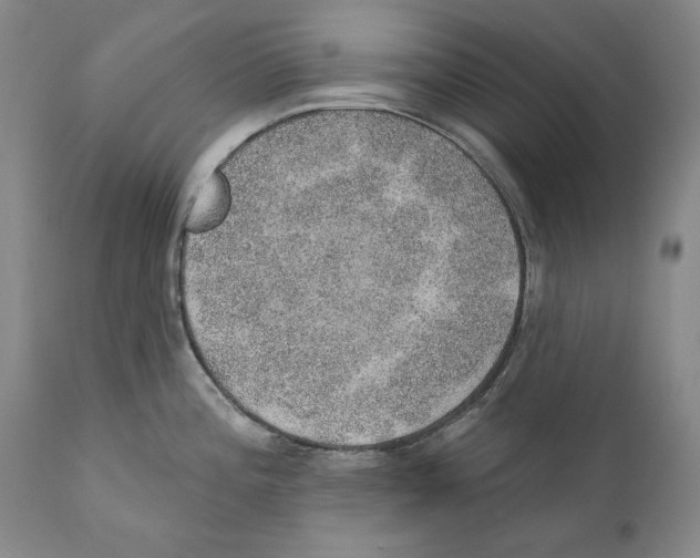 X0000110761196200907131202