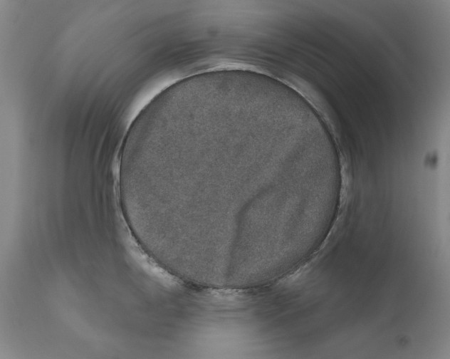 X0000110761198200907131202