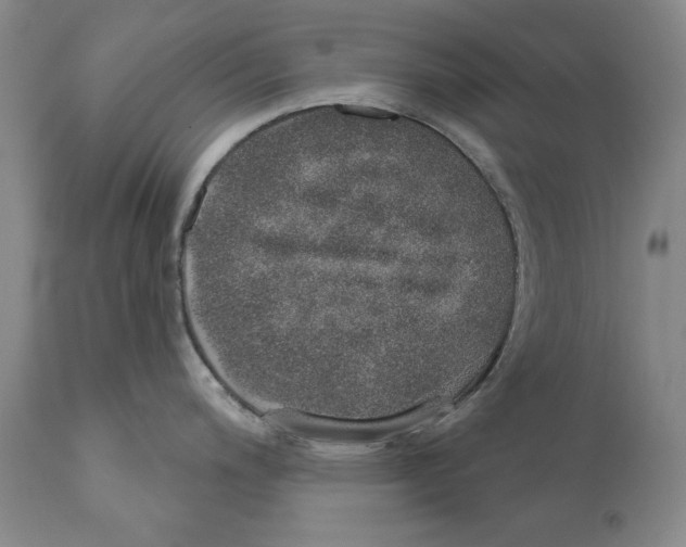 X0000110761200200907131202