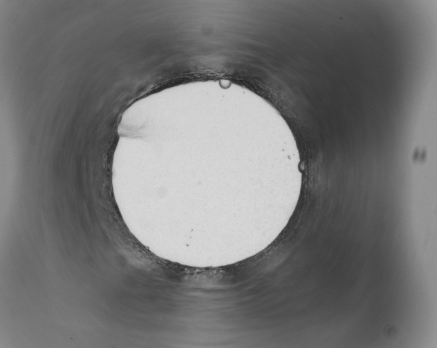 X0000110761201200907131201