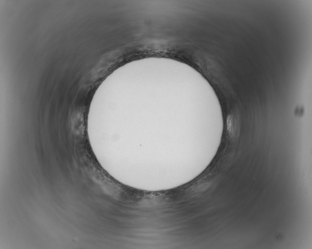 X0000110761203200907131201