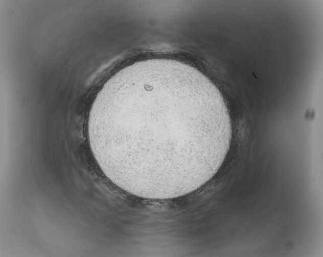 X0000110761205200907131201