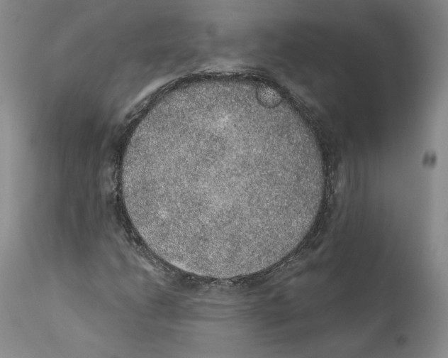 X0000110761206200907131201