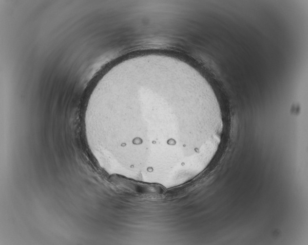 X0000110761210200907131201