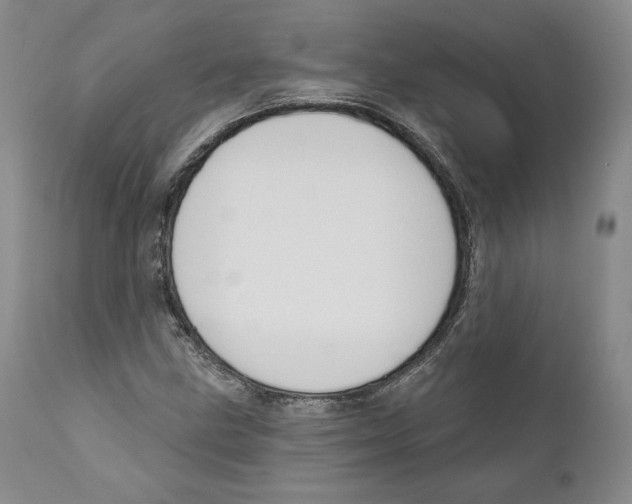 X0000110761211200907131201