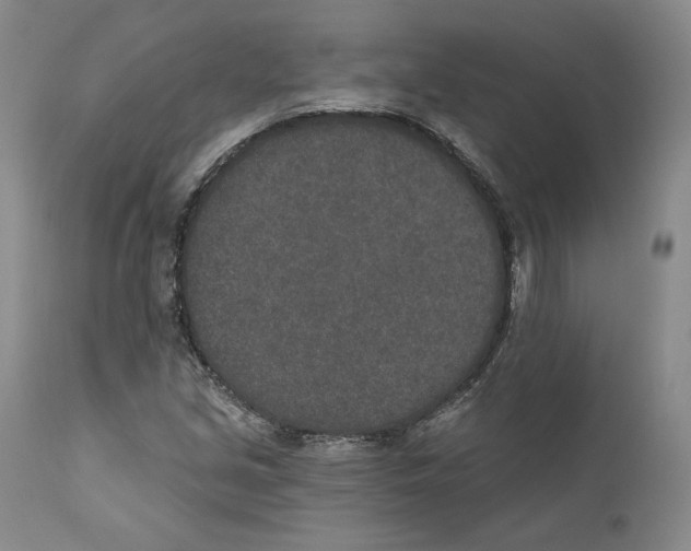 X0000110761213200907131201