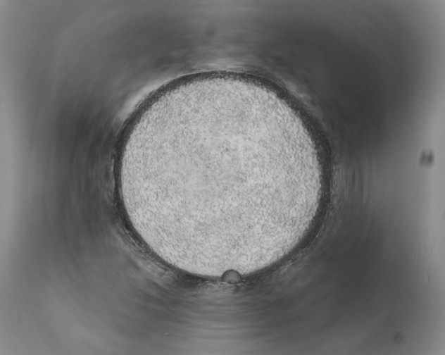 X0000110761214200907131201