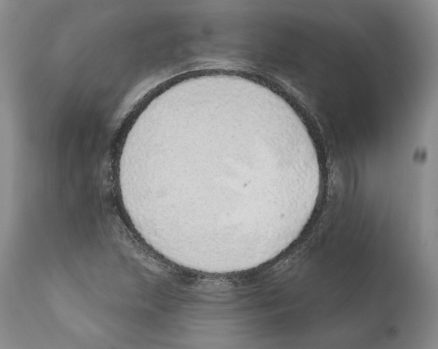X0000110761215200907131201