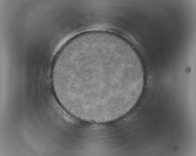 X0000110761216200907131201