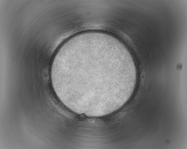 X0000110761218200907131201