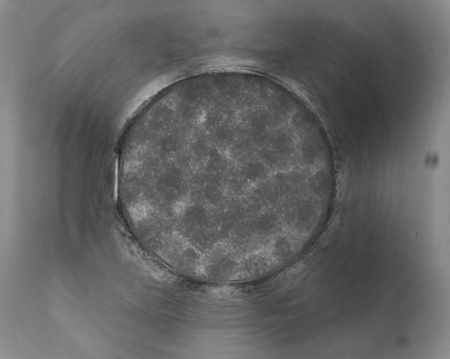 X0000110761219200907131201
