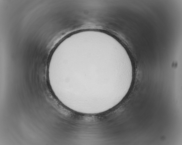 X0000110761220200907131201