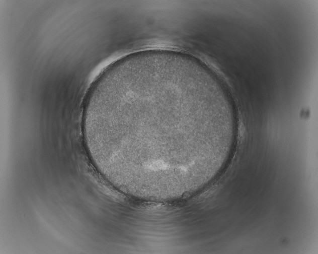X0000110761222200907131201