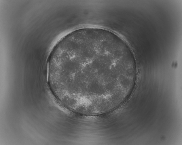 X0000110761223200907131201
