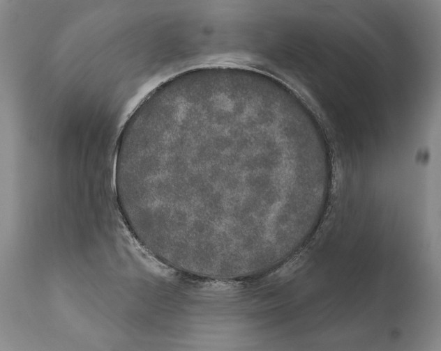X0000110761224200907131201