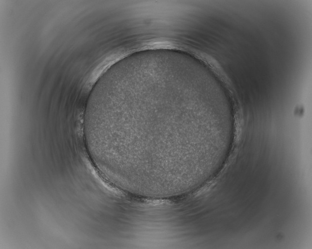 X0000110761225200907131201