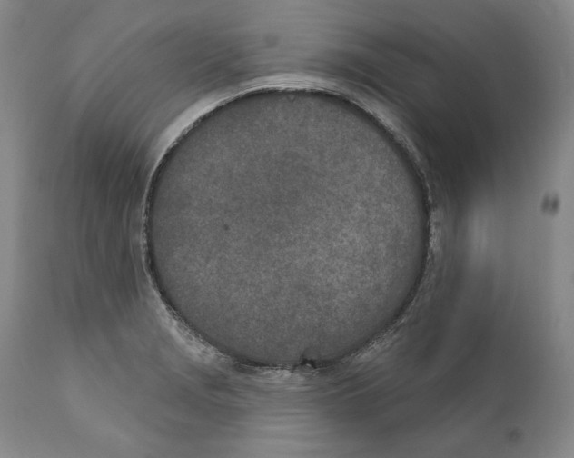 X0000110761229200907131202