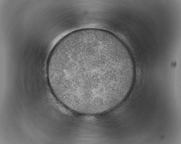 X0000110761230200907131202