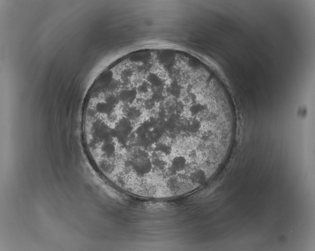X0000110761231200907131202