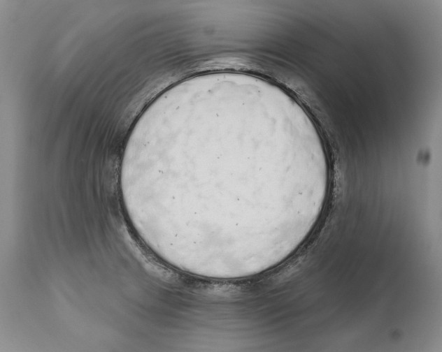 X0000110761233200907131202