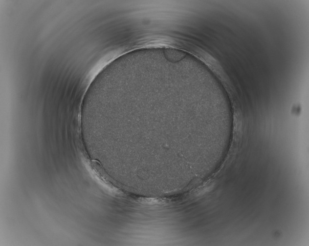 X0000110761234200907131202